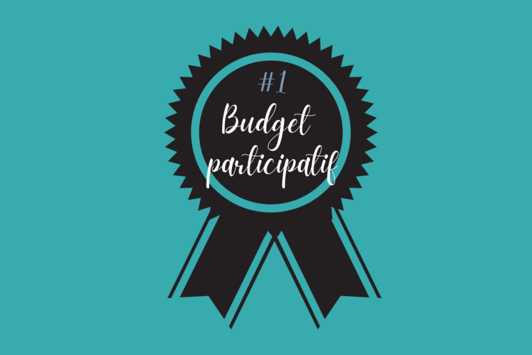Le budget participatif  annonce lauréats.png